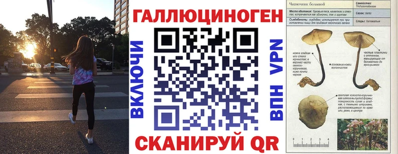 цена   МЕГА зеркало  Галлюциногенные грибы Psilocybine cubensis  Аркадак 